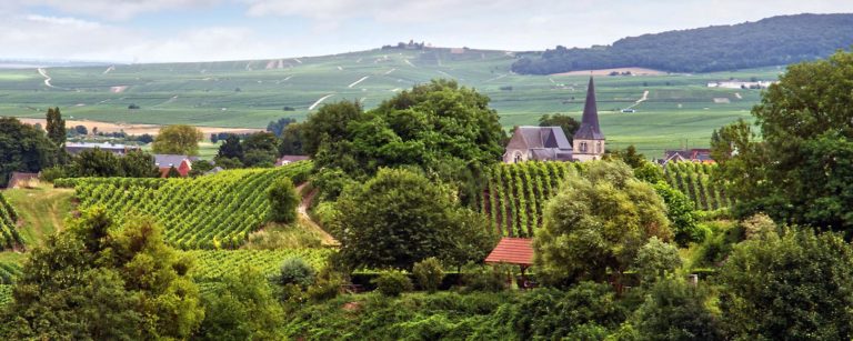 Top 5 des villes à visiter en Champagne Ardenne 6