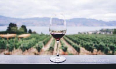 Vin rouge du Langedoc