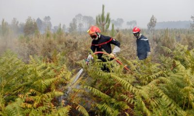 L'application indispensable pour suivre les feux de forêt en France 128