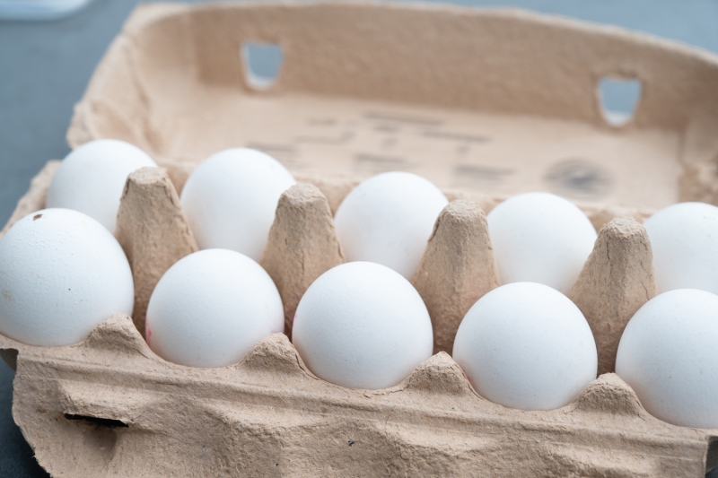 Œufs blancs dans une boîte à œufs