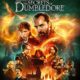 Les secrets de Dumbledore" sur Blu-ray plus le livre officiel du scénario. 50