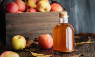 5 avantages possibles du vinaigre de cidre de pomme pour la santé 105