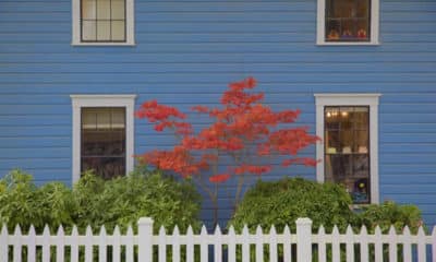 3 conseils pour obtenir de belles harmonies de couleurs dans la peinture extérieure d'une maison 128