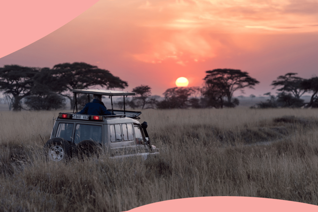7 raisons de partir en safari en Tanzanie en 2022 44