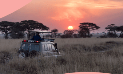 7 raisons de partir en safari en Tanzanie en 2022 59