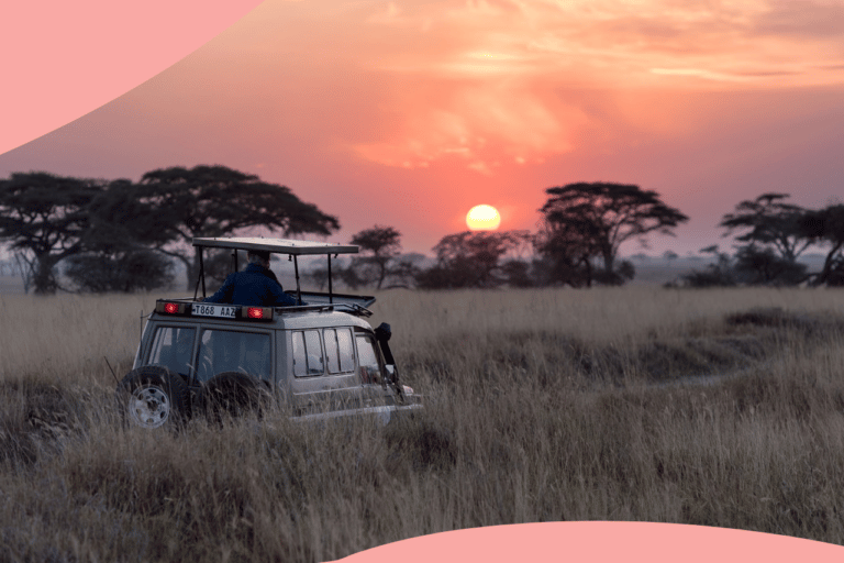 7 raisons de partir en safari en Tanzanie en 2022 16