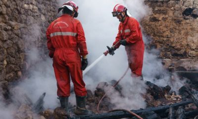 L'Europe connaît une année record en matière de destruction par les feux de forêt : UE 12