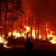 Plusieurs personnes sont évacuées suite à la reprise d'un incendie de forêt dans le sud de la France. 21