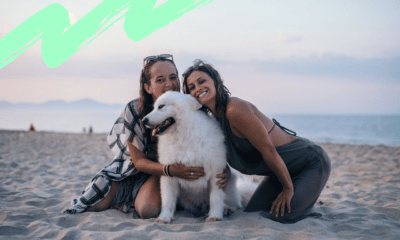 4 conseils adaptés aux chiens pour vos vacances d'été 177