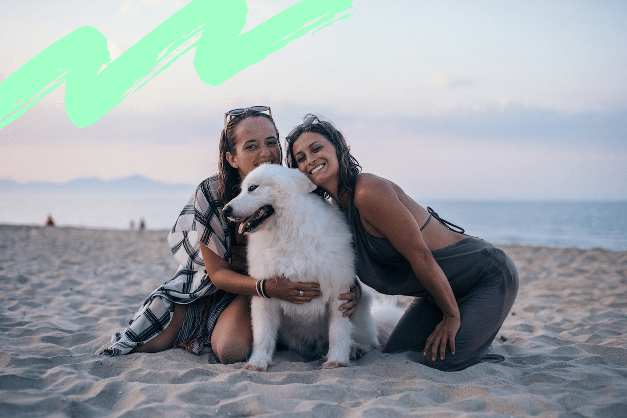 4 conseils adaptés aux chiens pour vos vacances d'été 7