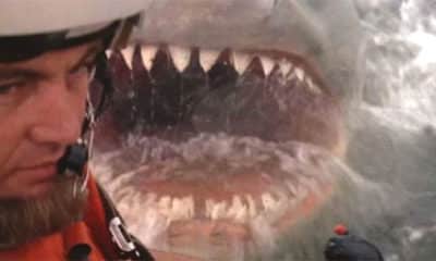 Existe-t-il une version plus effrayante et plus sanglante de "Jaws 2" ? 76