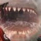 Existe-t-il une version plus effrayante et plus sanglante de "Jaws 2" ? 30