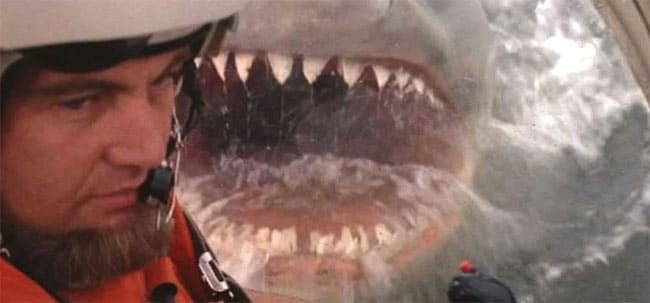 Existe-t-il une version plus effrayante et plus sanglante de "Jaws 2" ? 16