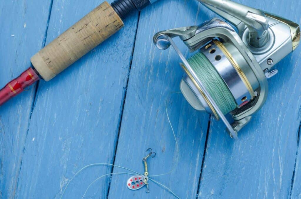 Comment vous équiper pour la pêche aux carnassiers ? 66