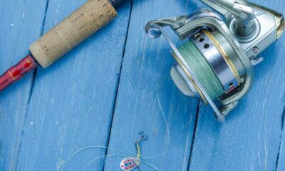 Comment vous équiper pour la pêche aux carnassiers ? 38