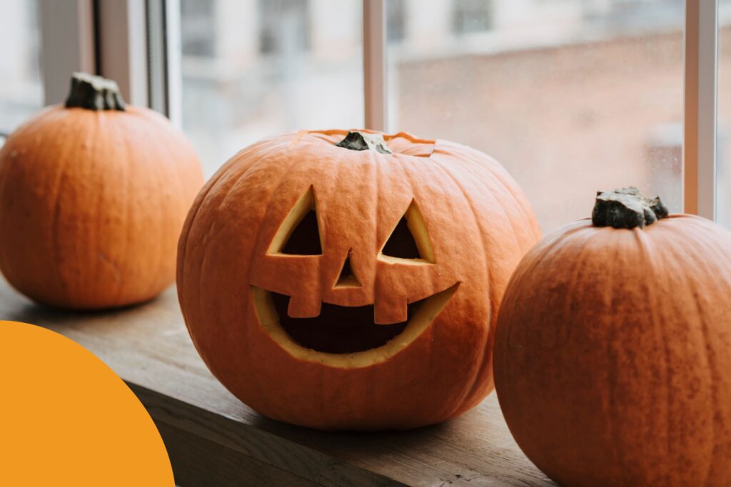 Comment passer un Halloween effrayant et durable ? 12