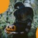 Comment passer un Halloween effrayant et durable ? 88