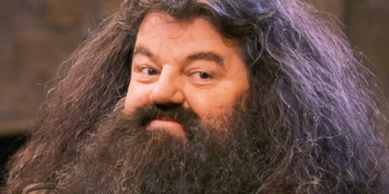 Robbie Coltrane : Hagrid