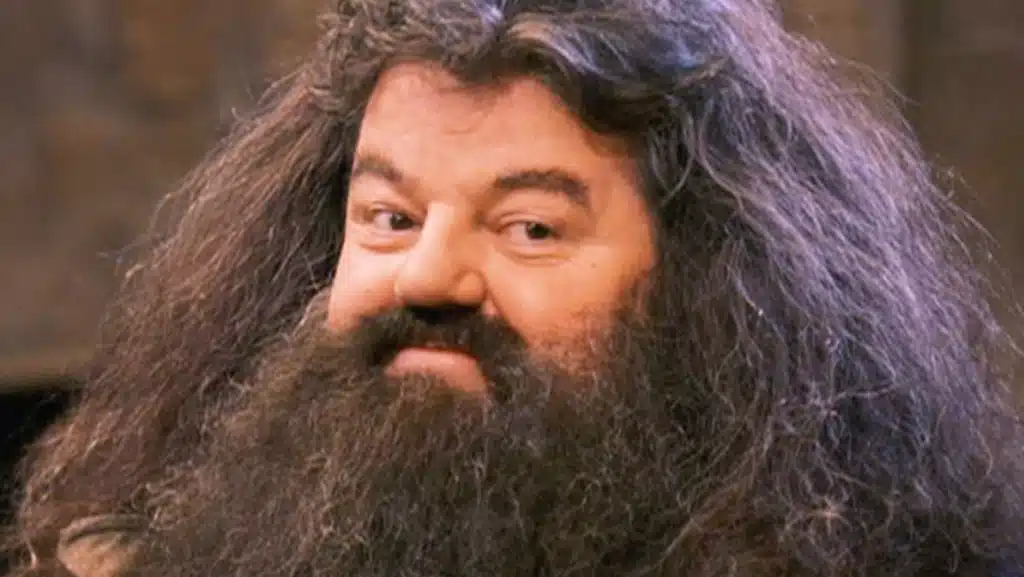 Robbie Coltrane, acteur de Hagrid, est décédé à l'âge de 72 ans. 184