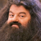 Robbie Coltrane, acteur de Hagrid, est décédé à l'âge de 72 ans. 173