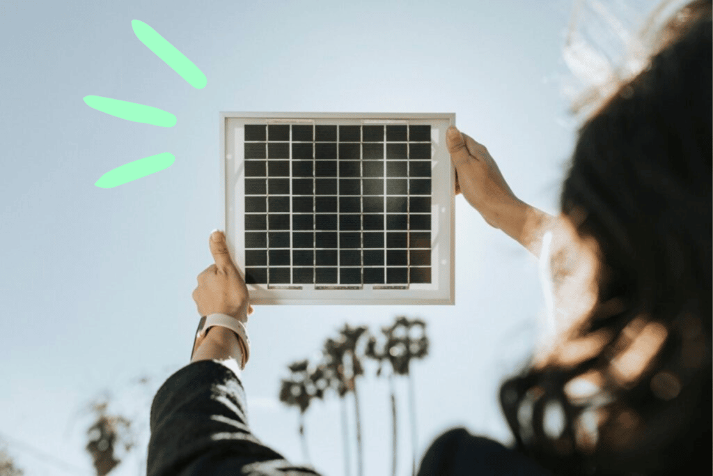 Ce que vous devez savoir sur la protection des panneaux solaires contre les pigeons 456